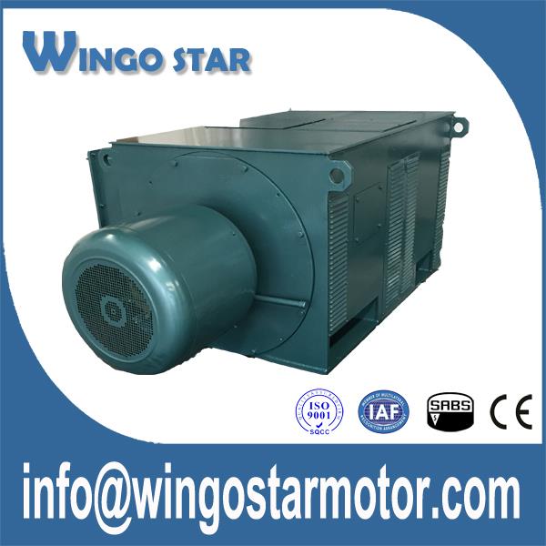 High Voltage Motors