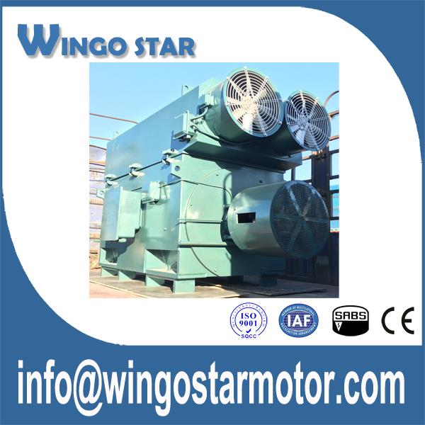3 Phase Electric Motor