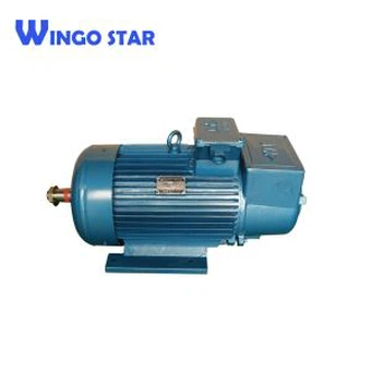 YZR Series Industrial Electric Motor