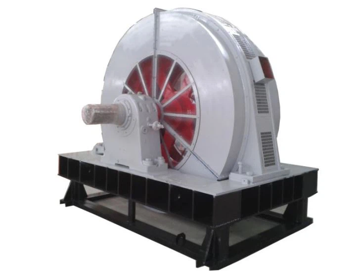 Big Type Synchronous Induction Motor