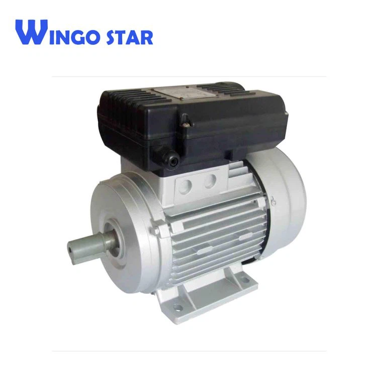 YL Single Phase Induction Motor