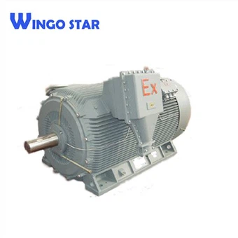 High Speed Ac Explosion Electric Motor