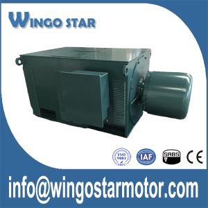 Slip Ring Motor