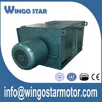 High Voltage Motors
