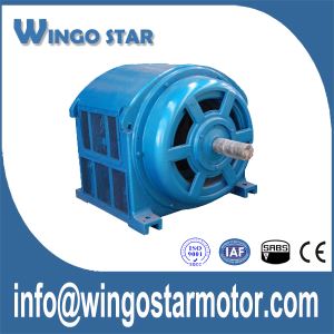 High Voltage Motor