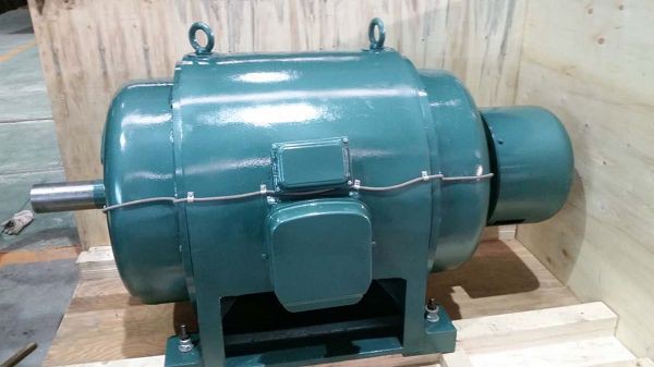 Low Cost Traditional Silp Ring Electric Motor