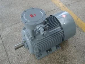 Low Voltage Explosion Proof Motor
