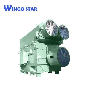 High Voltage Three Phase Asynchronous Electric Motor